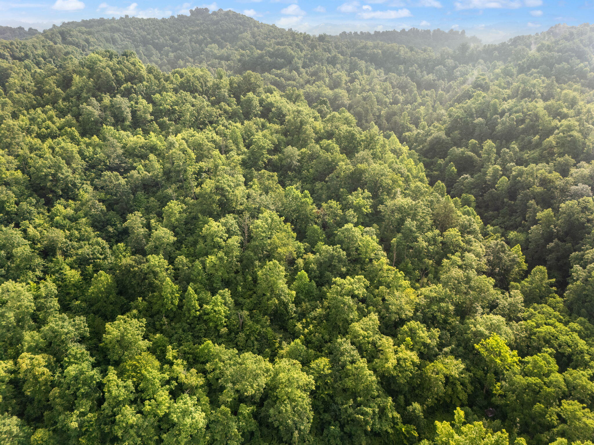 Booneville, Kentucky 41314, United States, 3 Bedrooms Bedrooms, ,2 BathroomsBathrooms,Residential,Active,165637