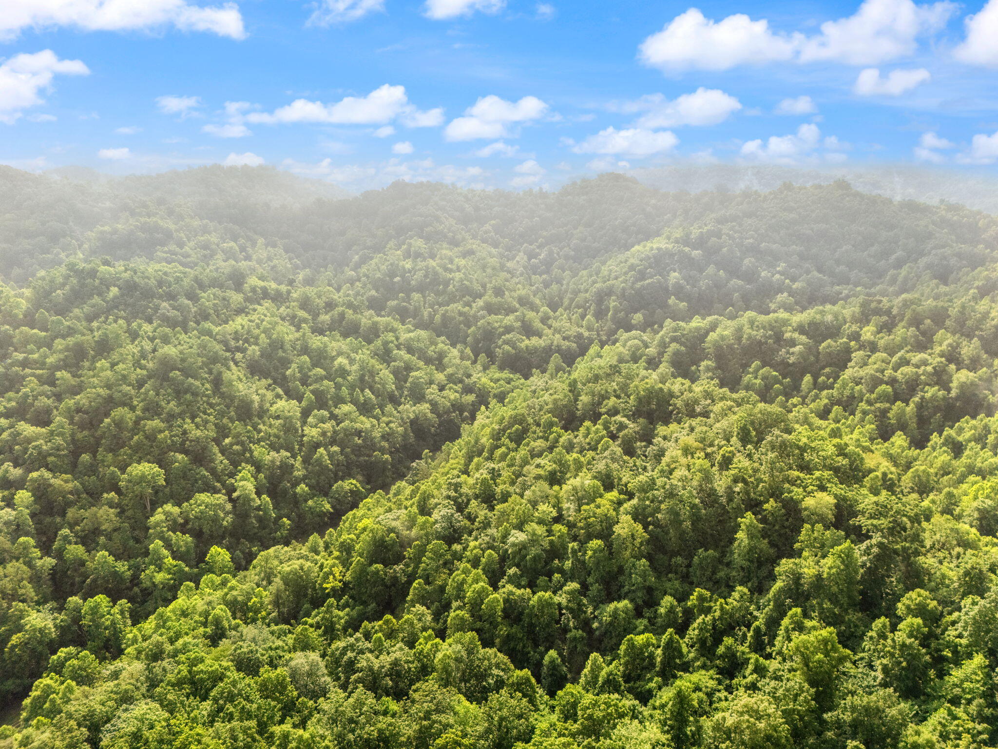 Booneville, Kentucky 41314, United States, 3 Bedrooms Bedrooms, ,2 BathroomsBathrooms,Residential,Active,165637