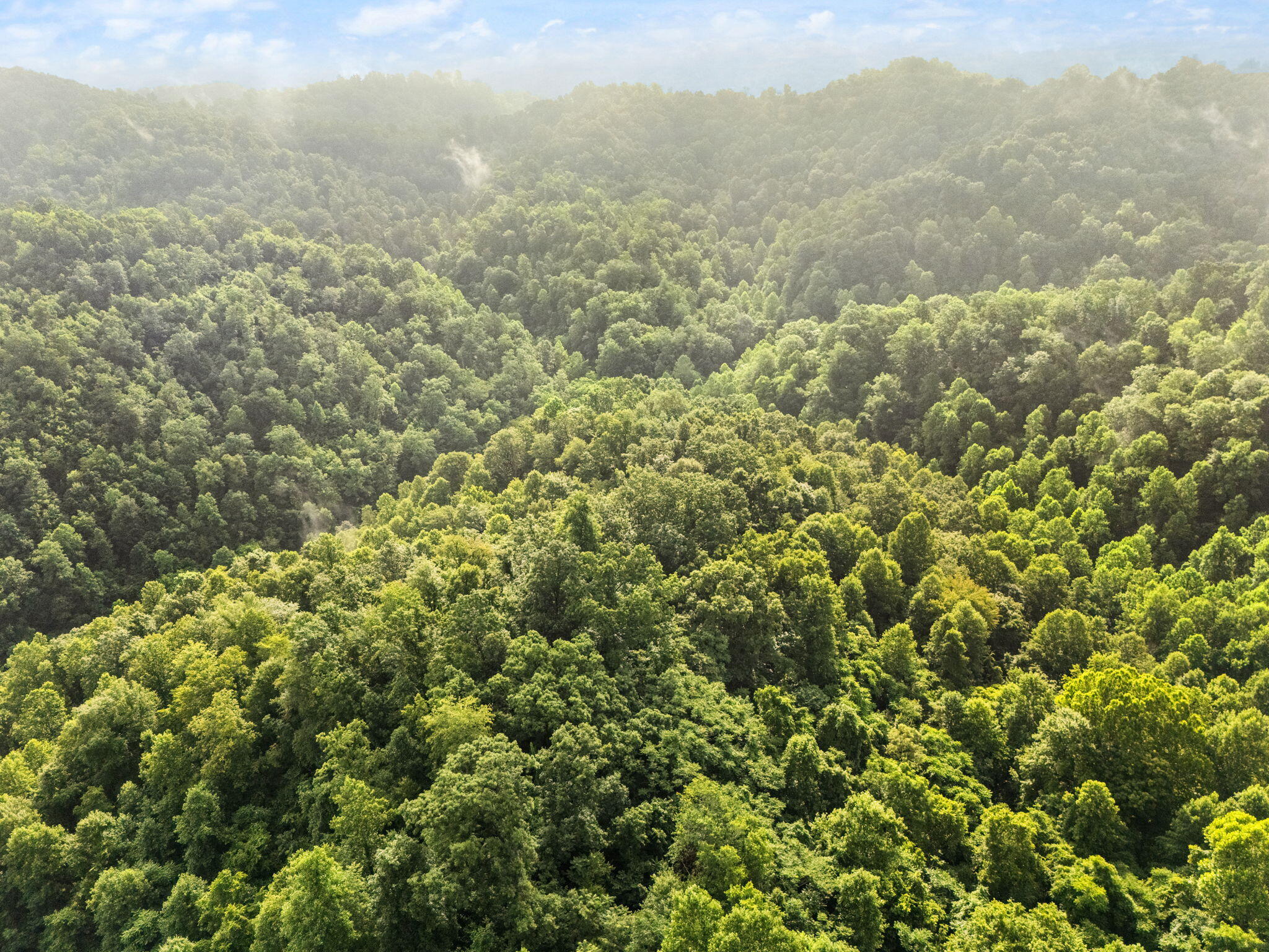 Booneville, Kentucky 41314, United States, 3 Bedrooms Bedrooms, ,2 BathroomsBathrooms,Residential,Active,165637