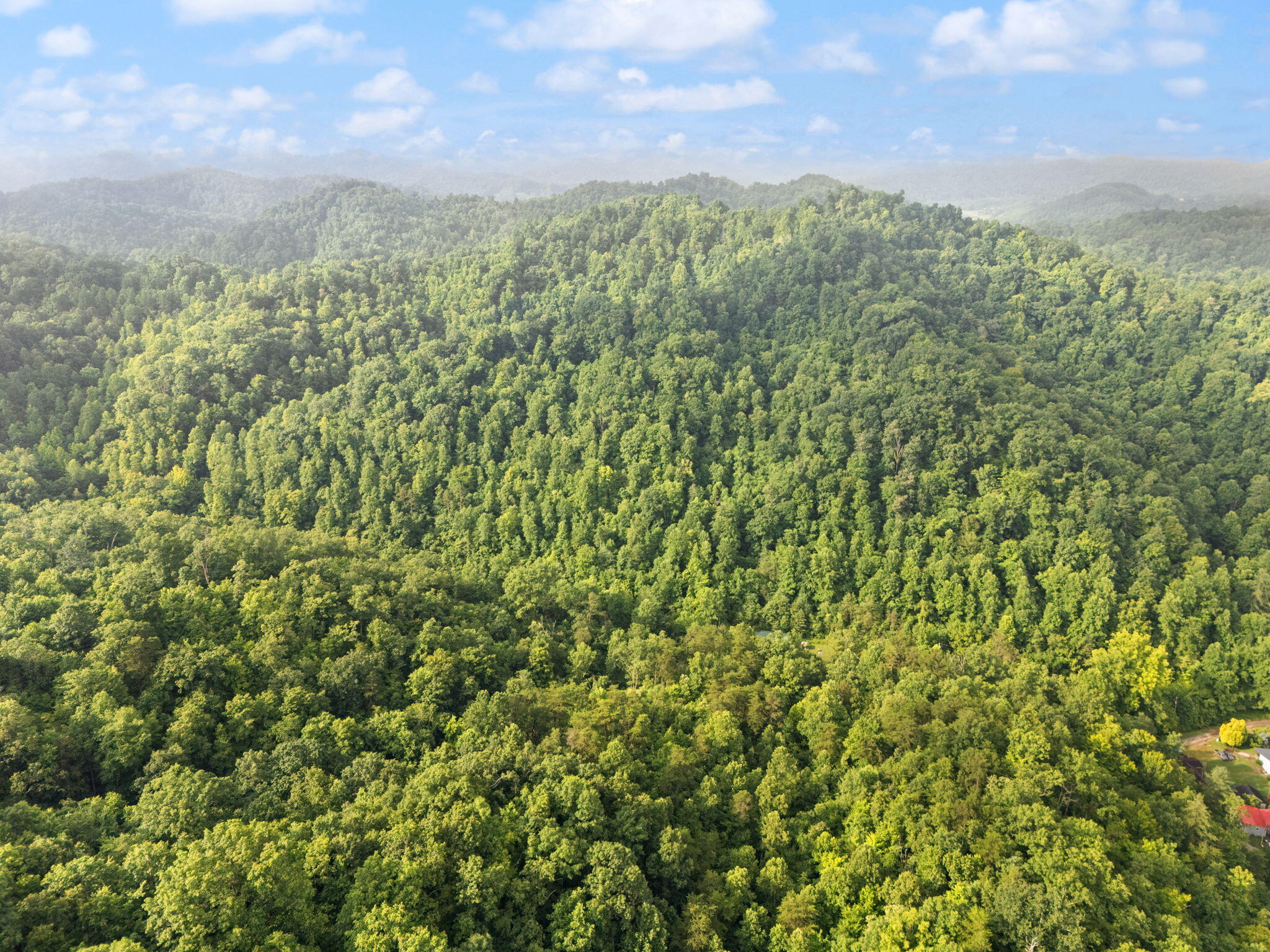 Booneville, Kentucky 41314, United States, 3 Bedrooms Bedrooms, ,2 BathroomsBathrooms,Residential,Active,165637