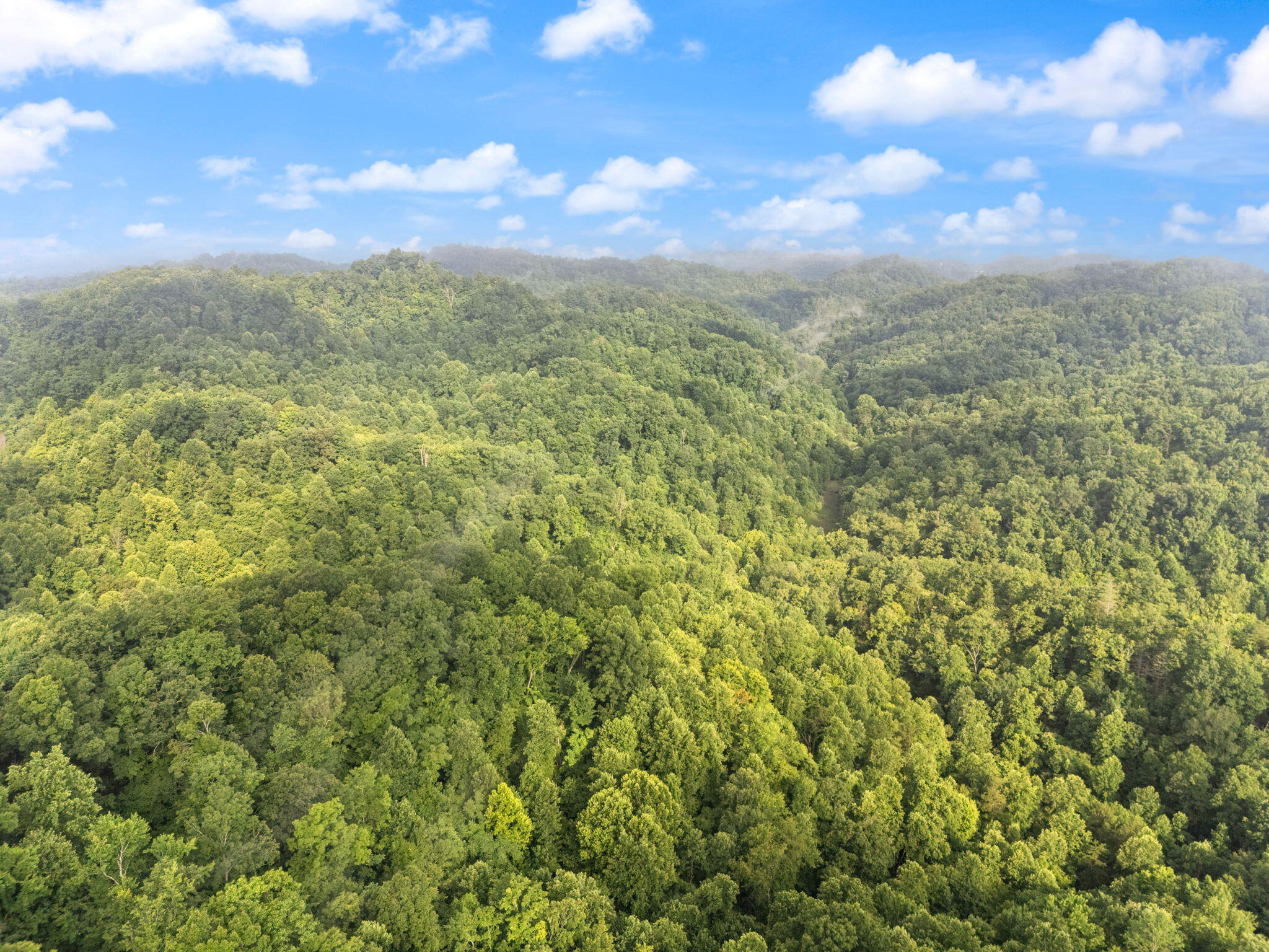 Booneville, Kentucky 41314, United States, 3 Bedrooms Bedrooms, ,2 BathroomsBathrooms,Residential,Active,165637