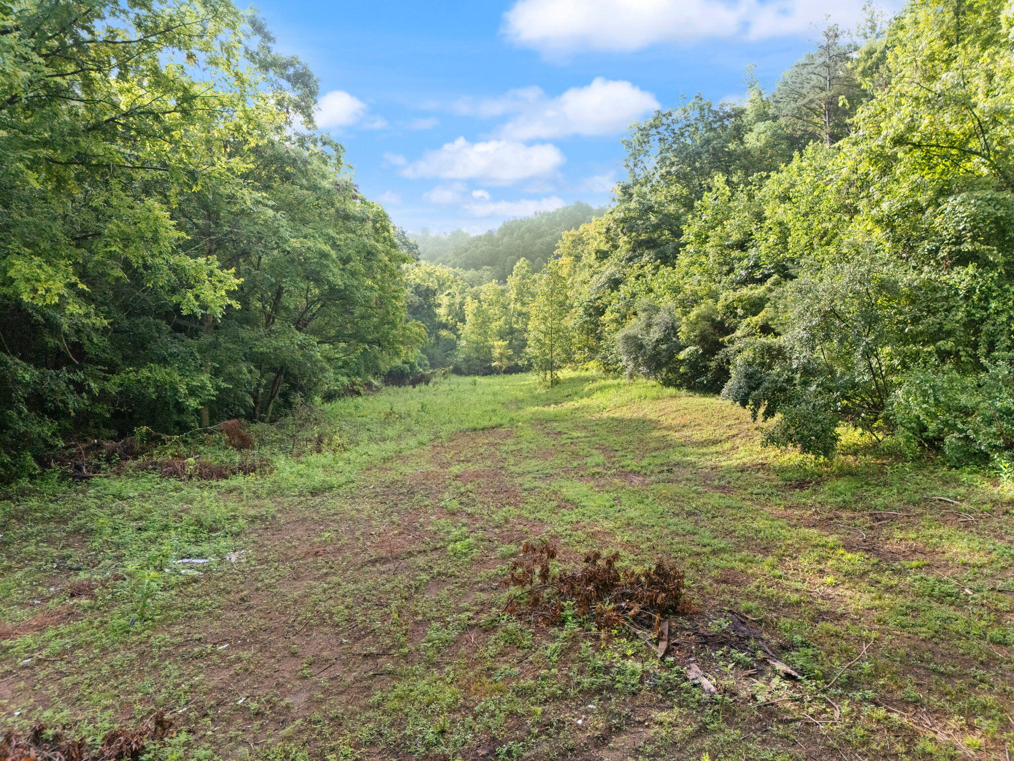 Booneville, Kentucky 41314, United States, 3 Bedrooms Bedrooms, ,2 BathroomsBathrooms,Residential,Active,165637