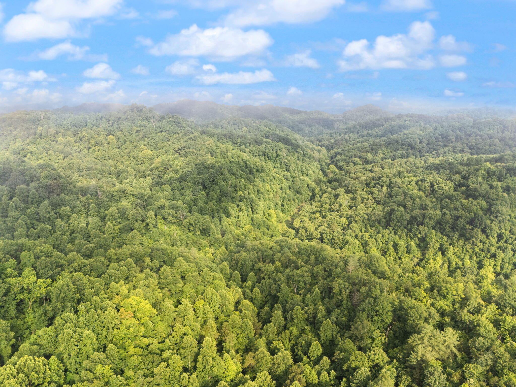 Booneville, Kentucky 41314, United States, 3 Bedrooms Bedrooms, ,2 BathroomsBathrooms,Residential,Active,165637