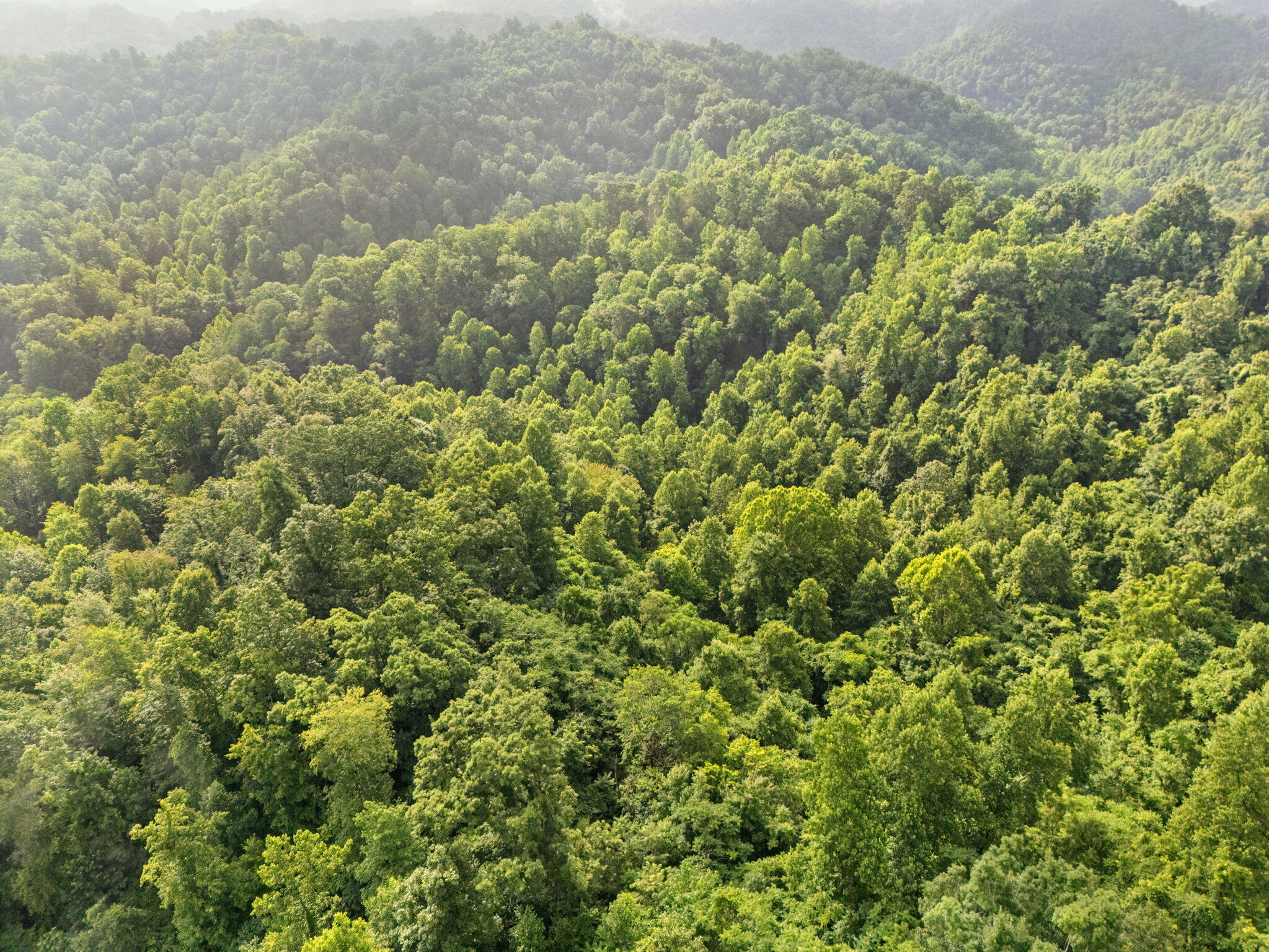 Booneville, Kentucky 41314, United States, 3 Bedrooms Bedrooms, ,2 BathroomsBathrooms,Residential,Active,165637