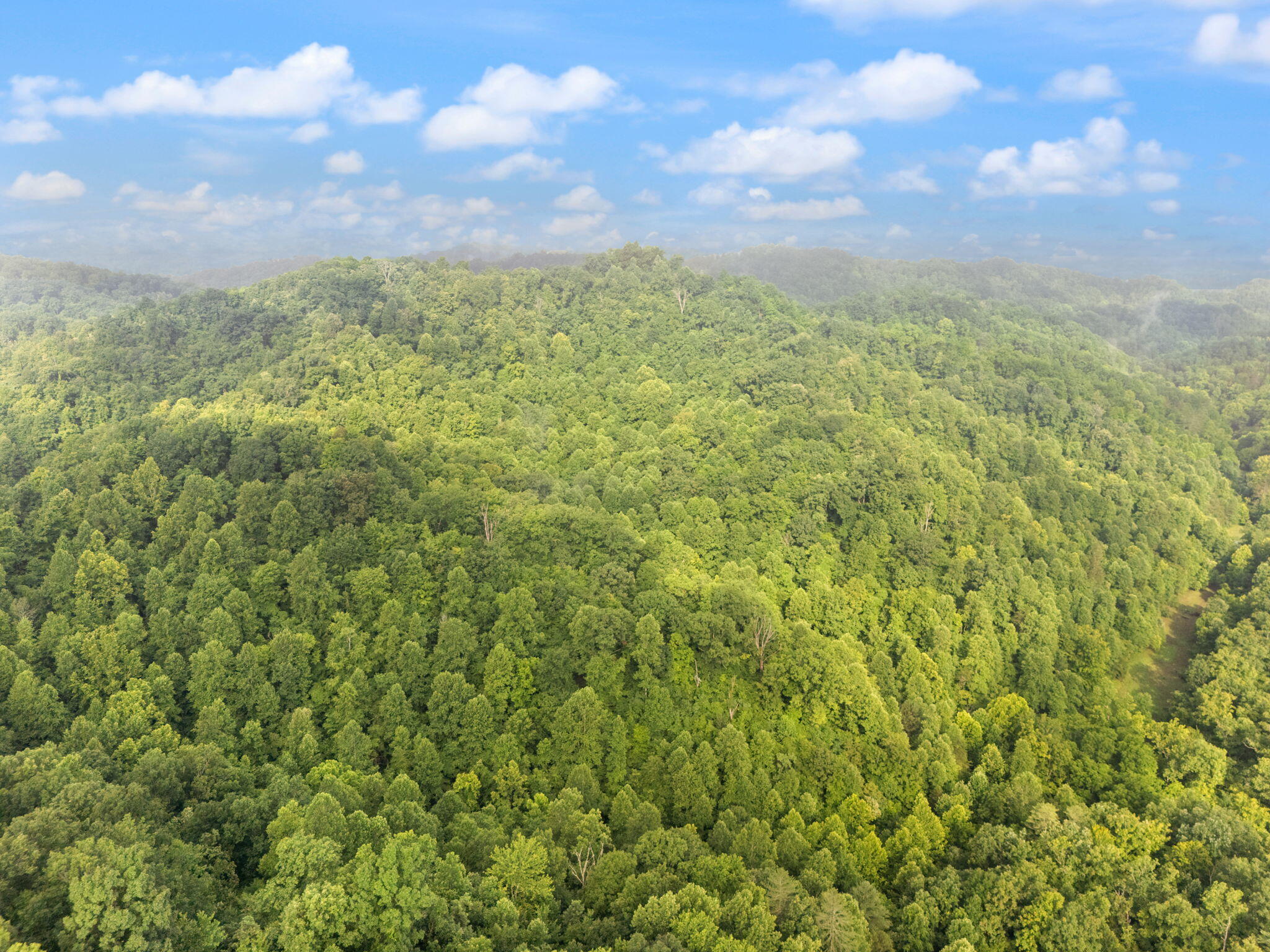 Booneville, Kentucky 41314, United States, 3 Bedrooms Bedrooms, ,2 BathroomsBathrooms,Residential,Active,165637