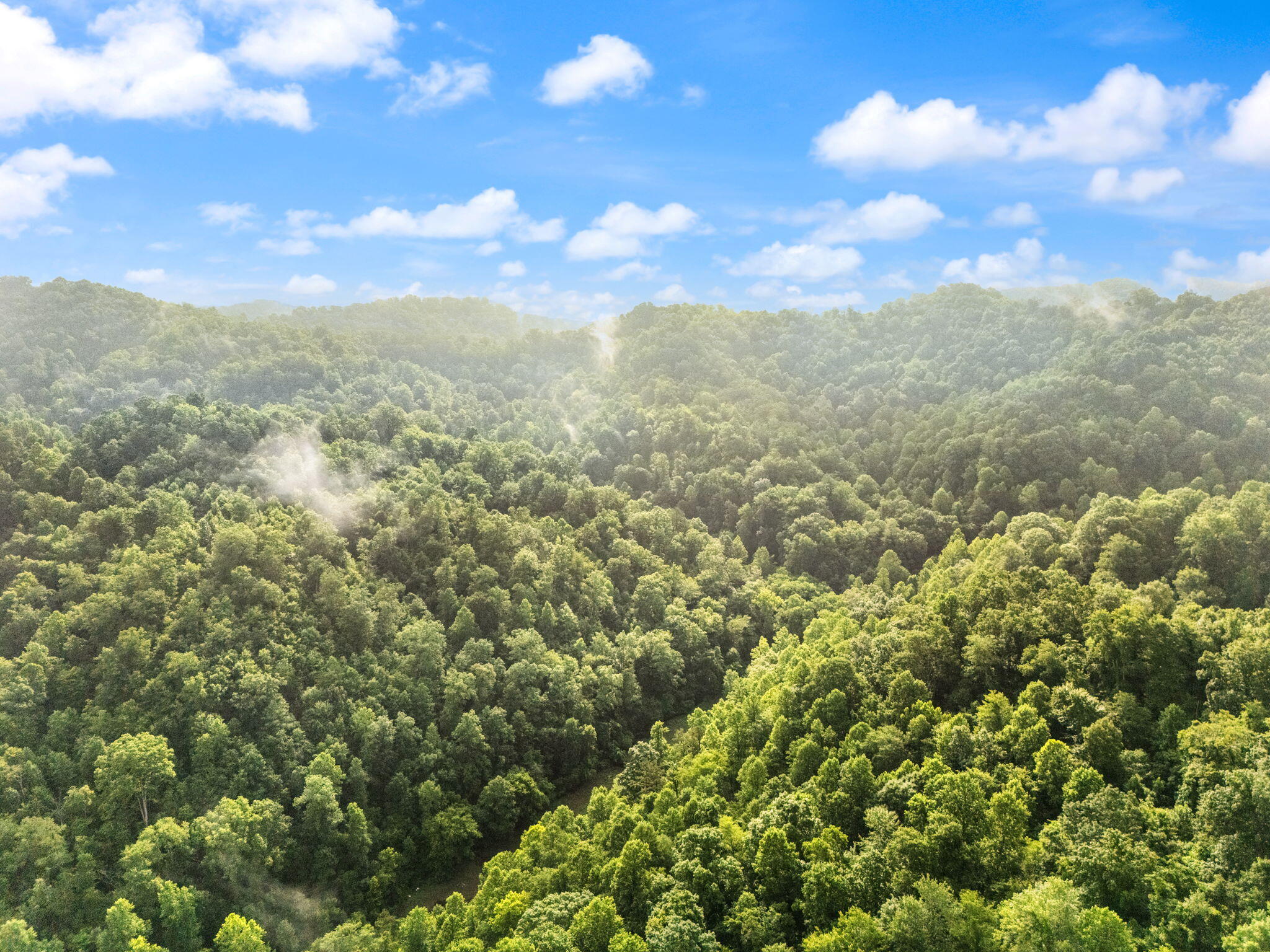 Booneville, Kentucky 41314, United States, 3 Bedrooms Bedrooms, ,2 BathroomsBathrooms,Residential,Active,165637