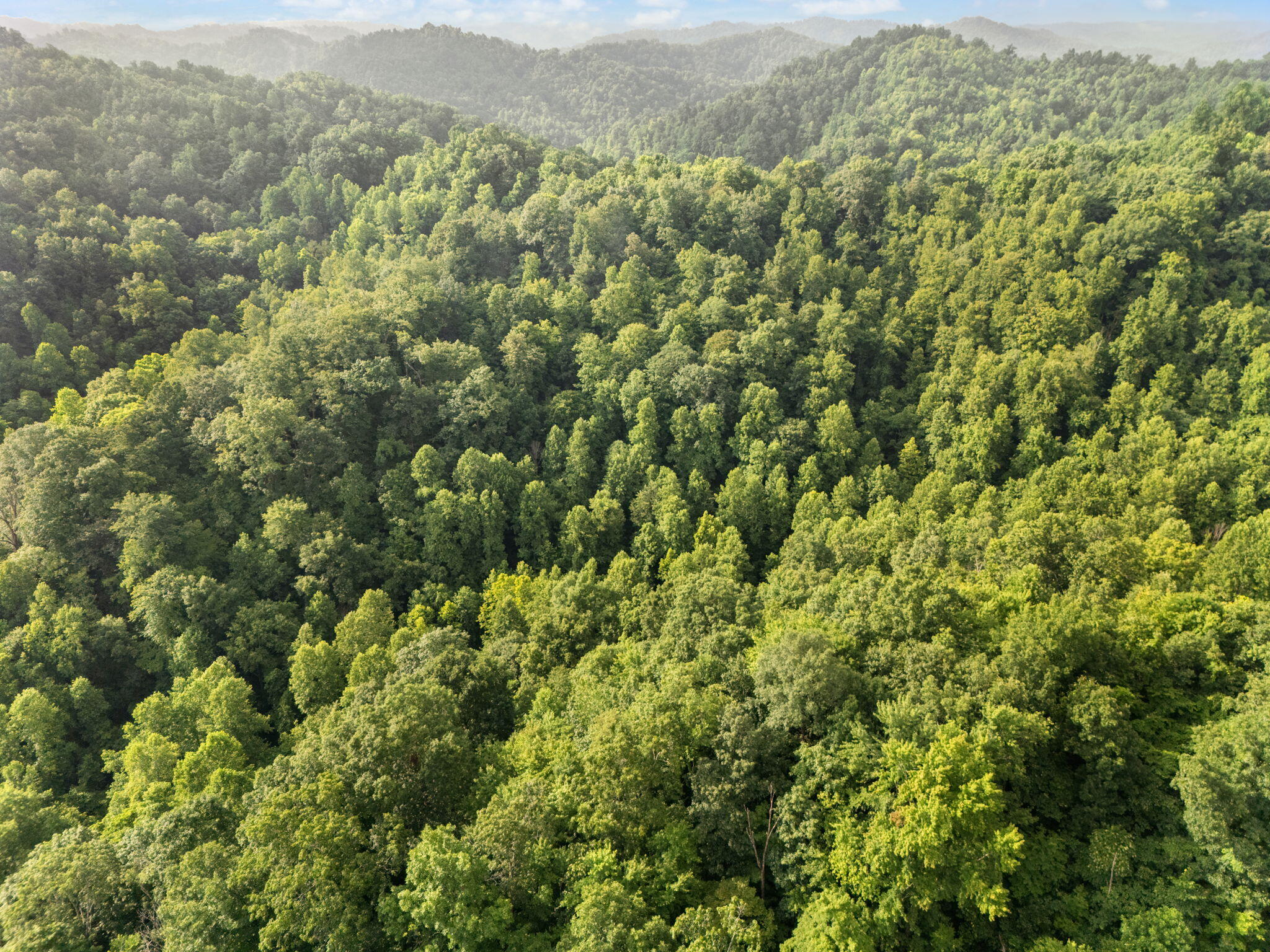 Booneville, Kentucky 41314, United States, 3 Bedrooms Bedrooms, ,2 BathroomsBathrooms,Residential,Active,165637