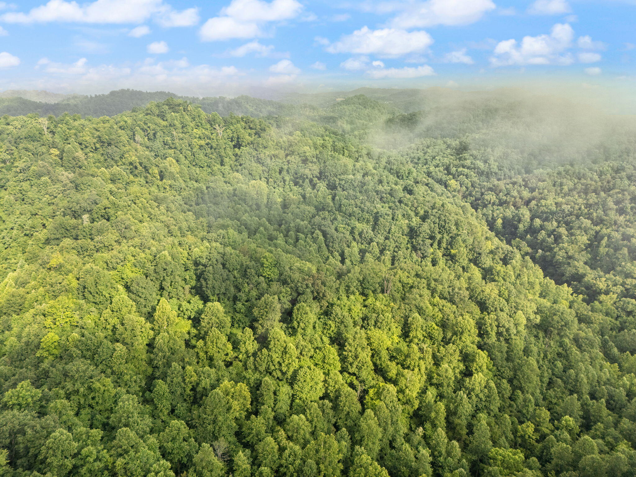 Booneville, Kentucky 41314, United States, 3 Bedrooms Bedrooms, ,2 BathroomsBathrooms,Residential,Active,165637