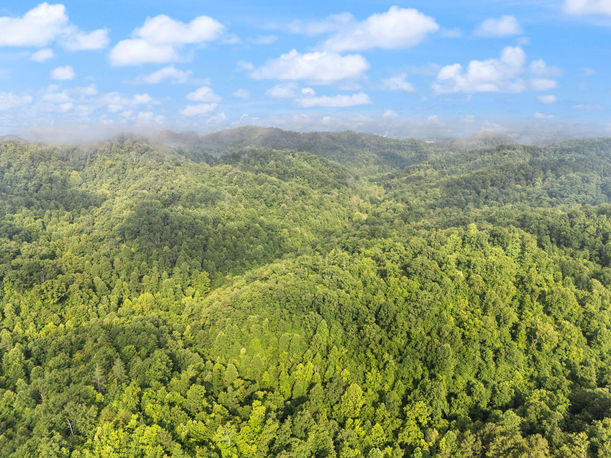 Booneville, Kentucky 41314, United States, 3 Bedrooms Bedrooms, ,2 BathroomsBathrooms,Residential,Active,165637