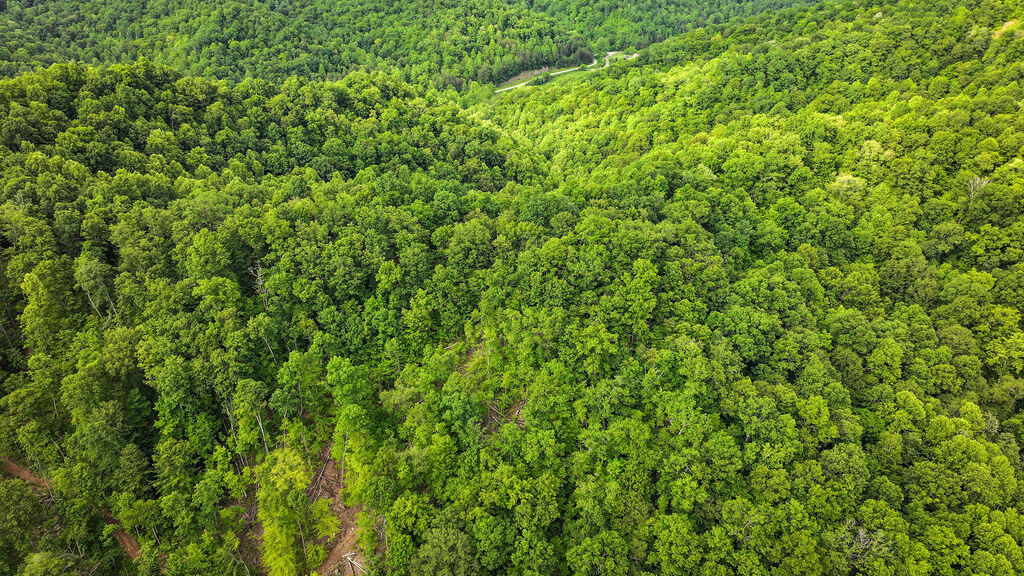 Booneville, Kentucky 41314, United States, ,Residential,Active,143445