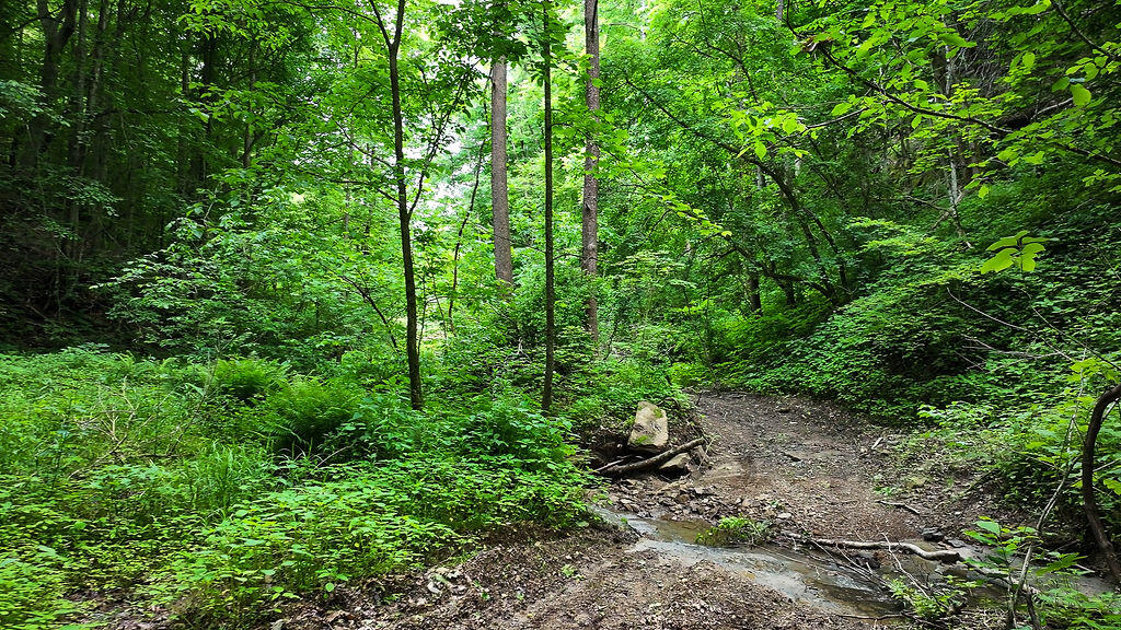 Booneville, Kentucky 41314, United States, ,Residential,Active,143445