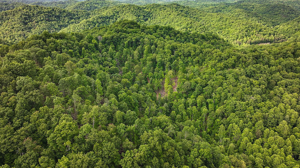 Booneville, Kentucky 41314, United States, ,Residential,Active,143445