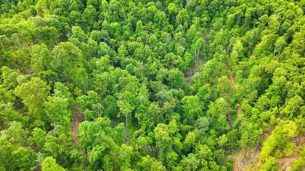 Booneville, Kentucky 41314, United States, ,Residential,Active,143445