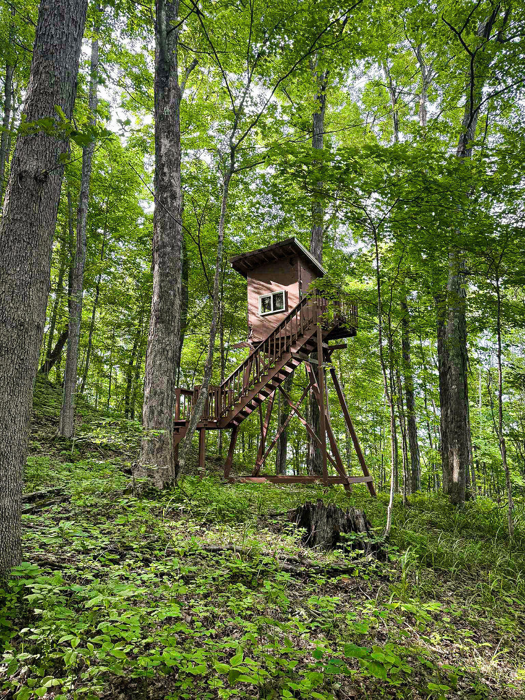 Booneville, Kentucky 41314, United States, ,Residential,Active,143445