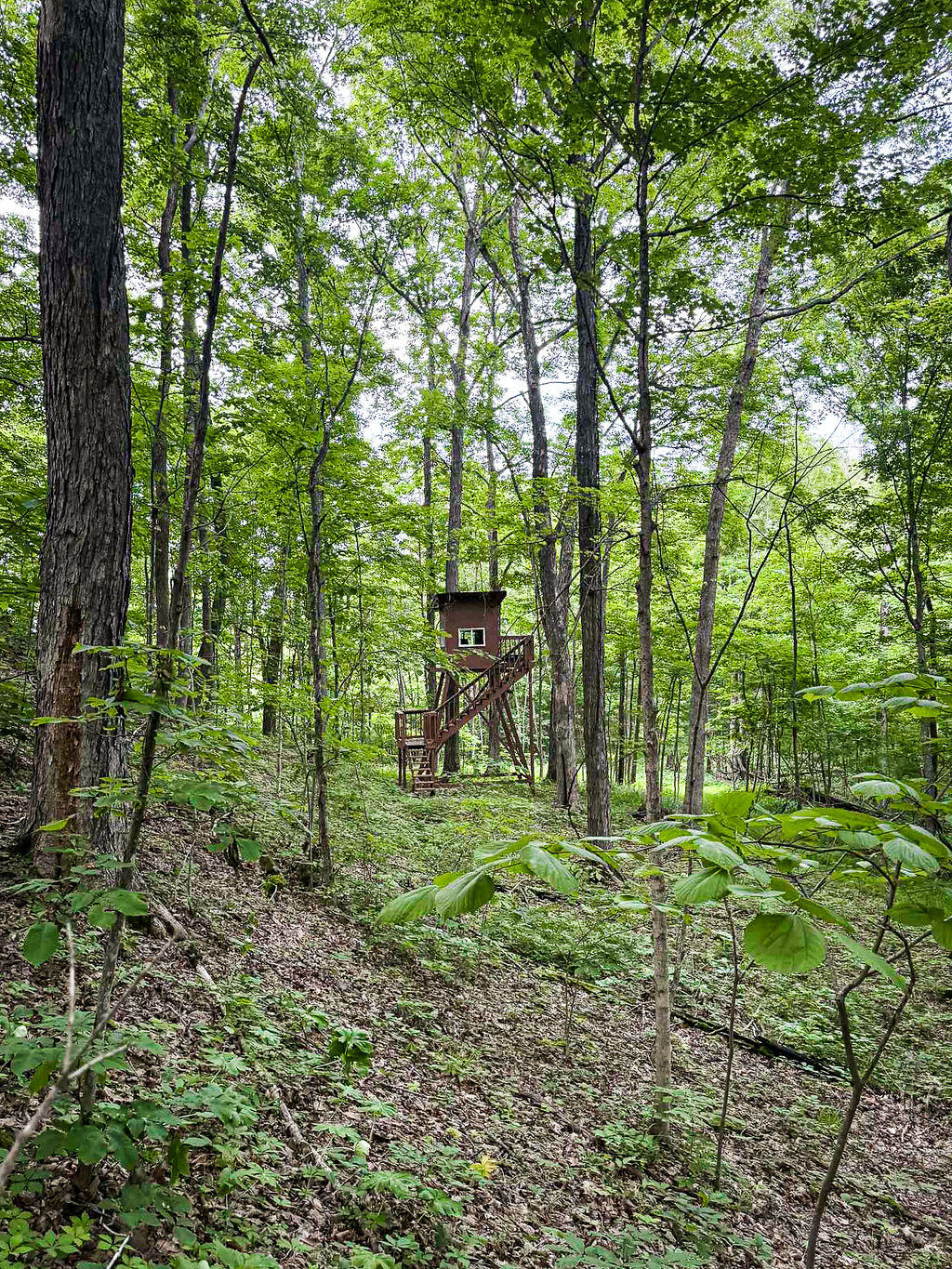 Booneville, Kentucky 41314, United States, ,Residential,Active,143445