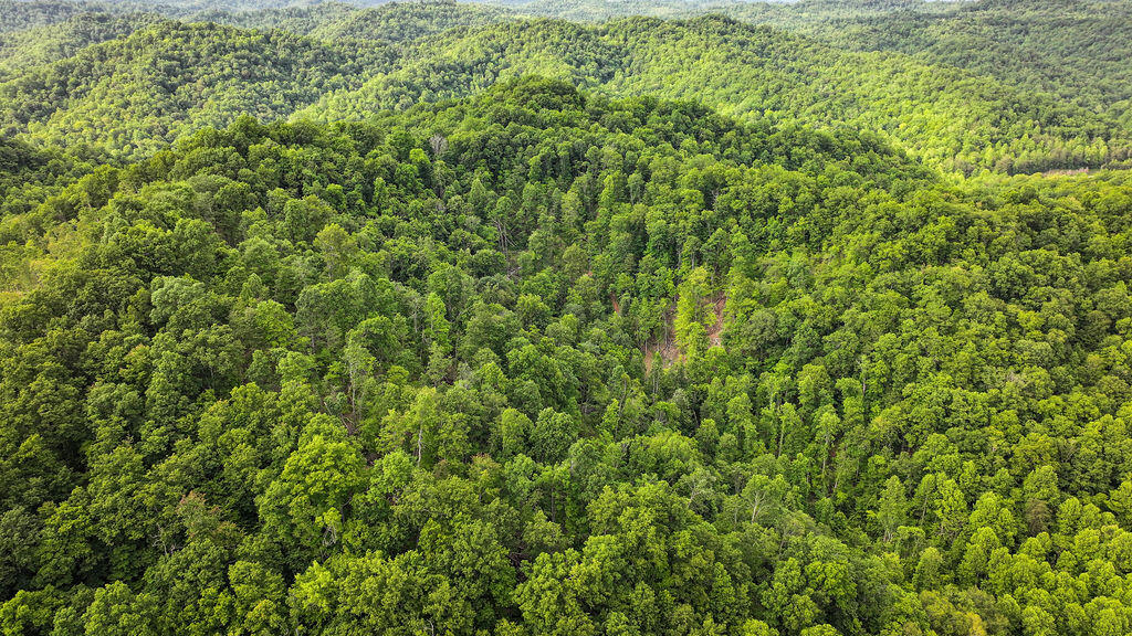 Booneville, Kentucky 41314, United States, ,Residential,Active,143445