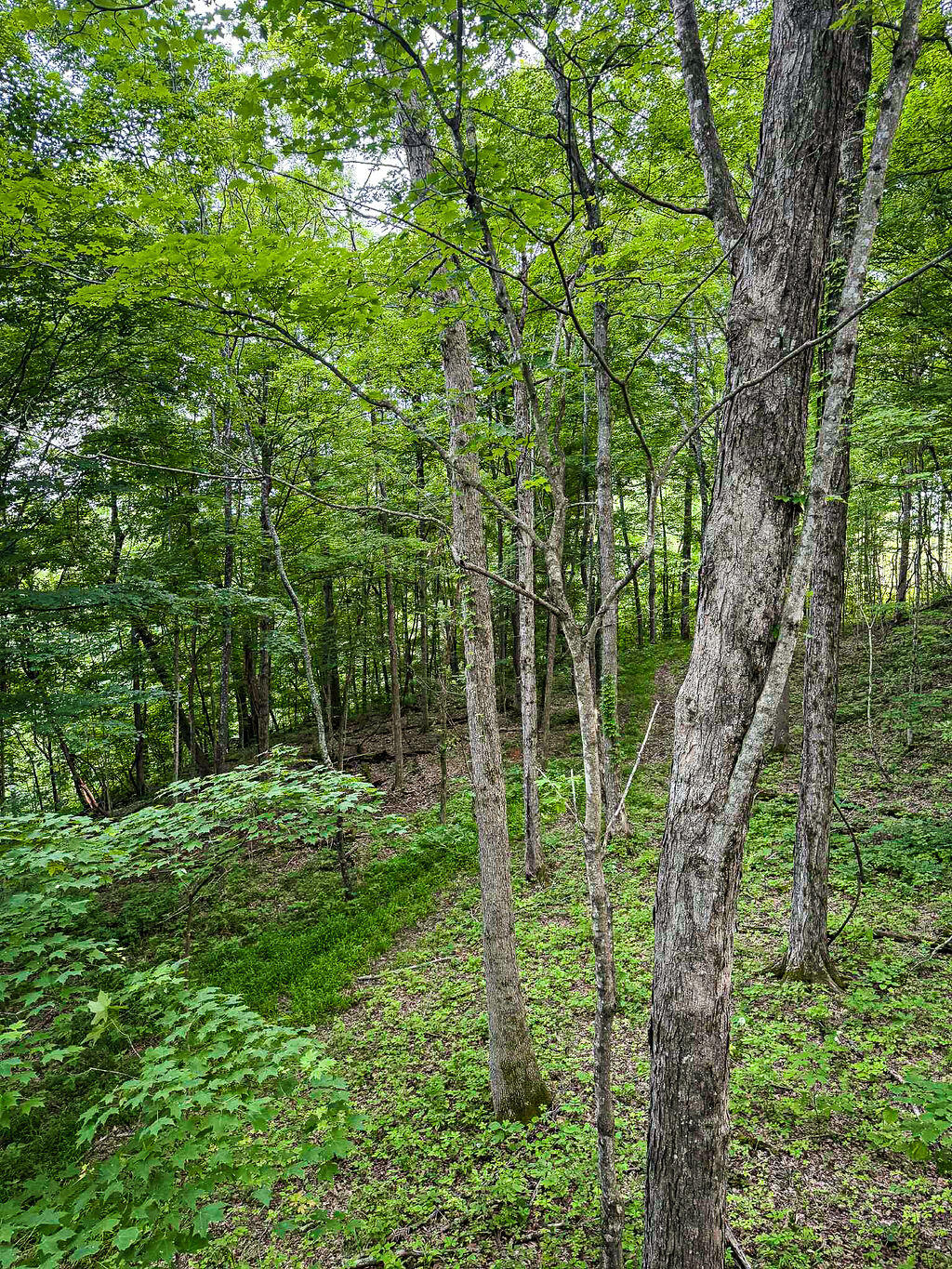 Booneville, Kentucky 41314, United States, ,Residential,Active,143445