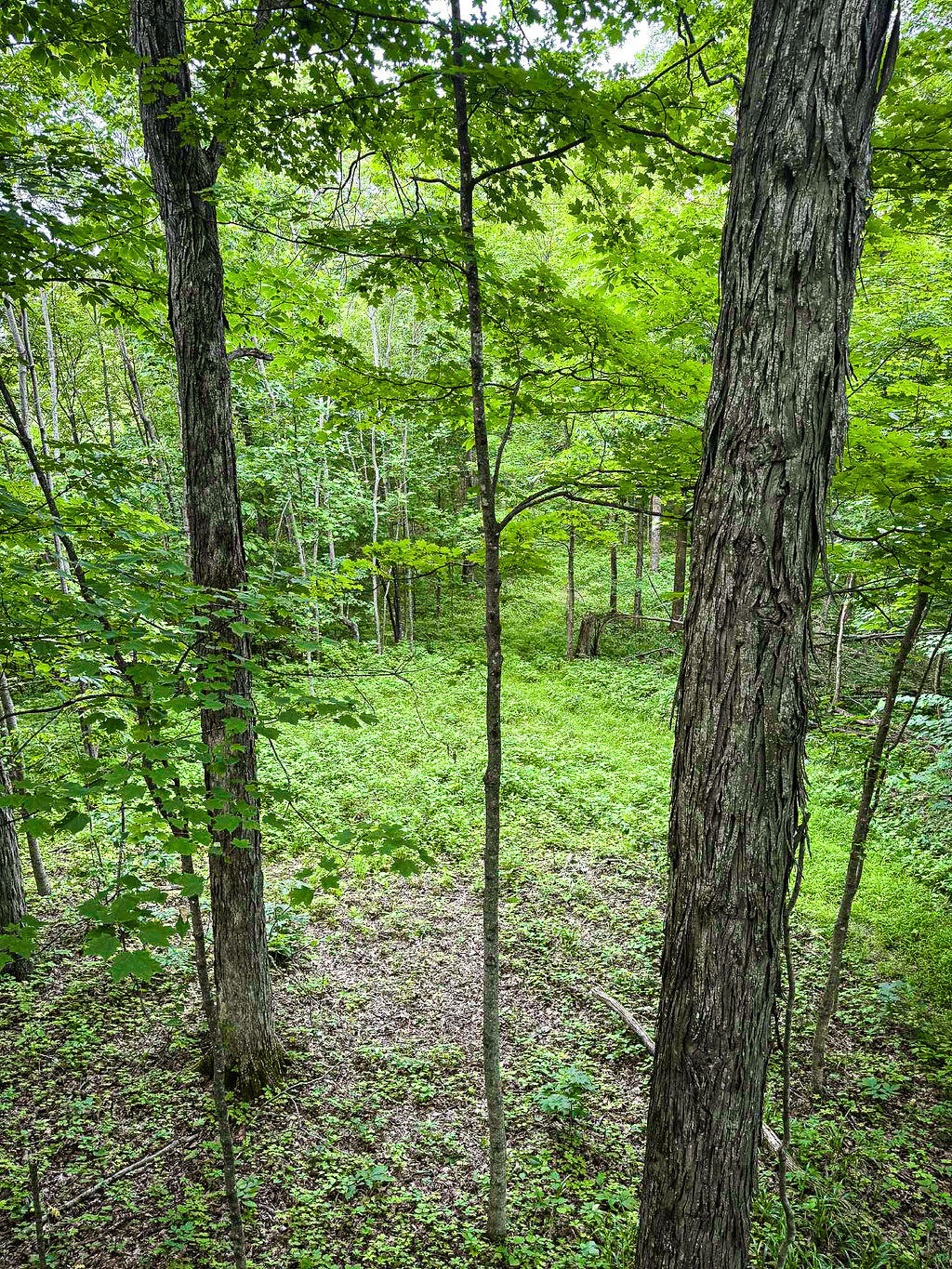 Booneville, Kentucky 41314, United States, ,Residential,Active,143445