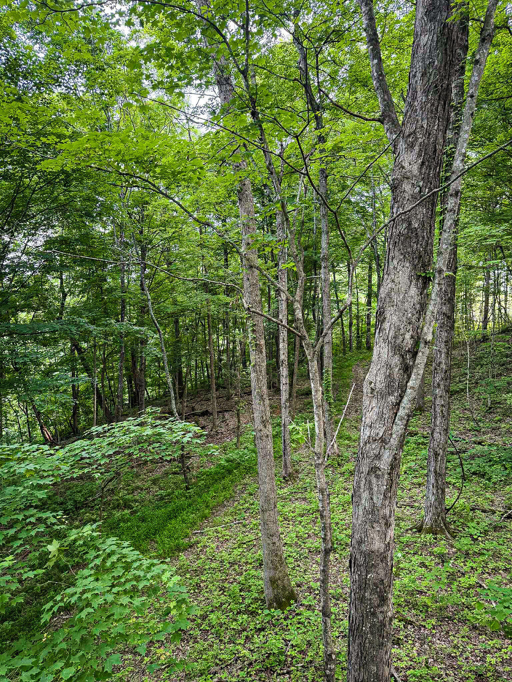 Booneville, Kentucky 41314, United States, ,Residential,Active,143445