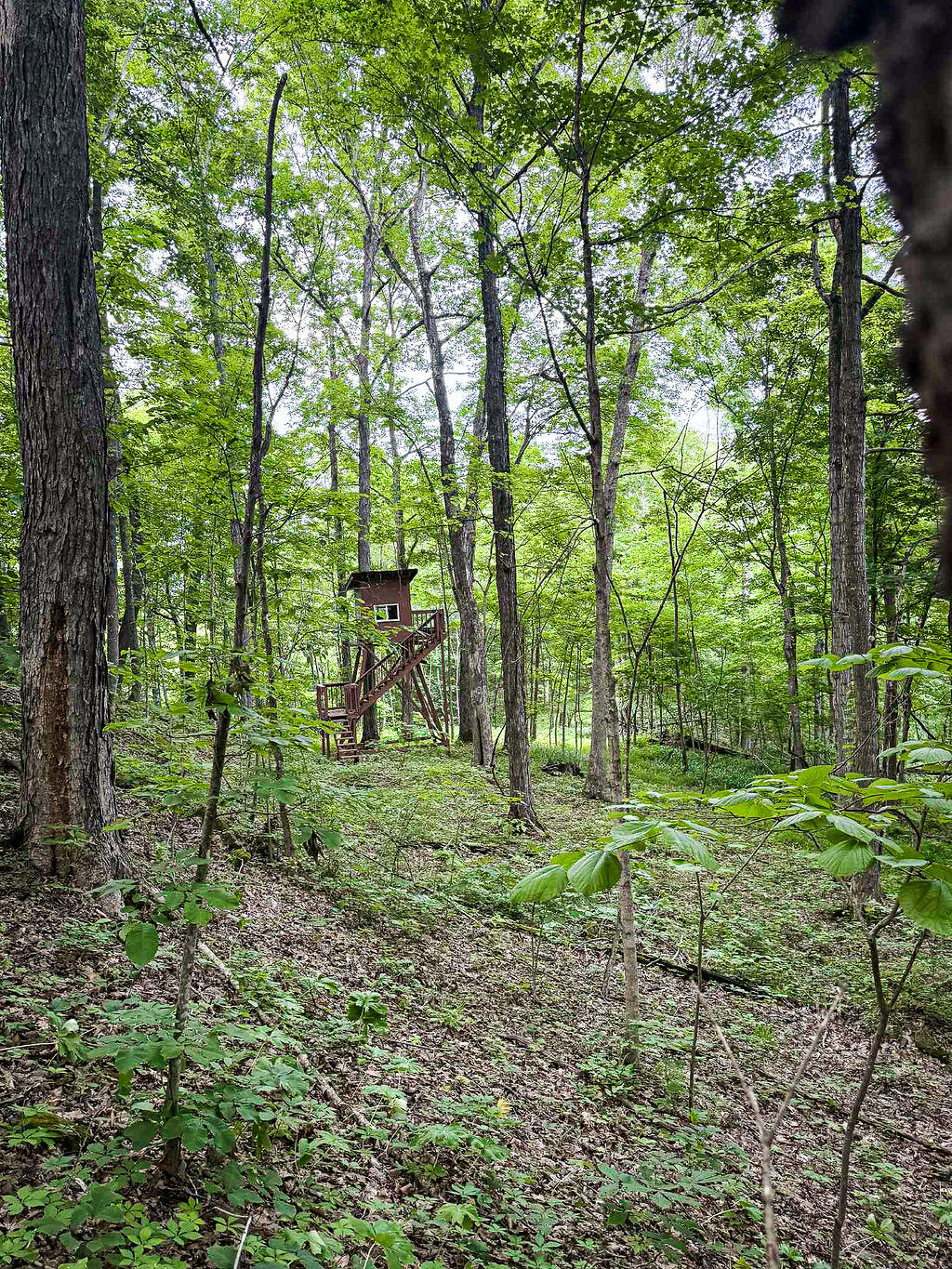 Booneville, Kentucky 41314, United States, ,Residential,Active,143445