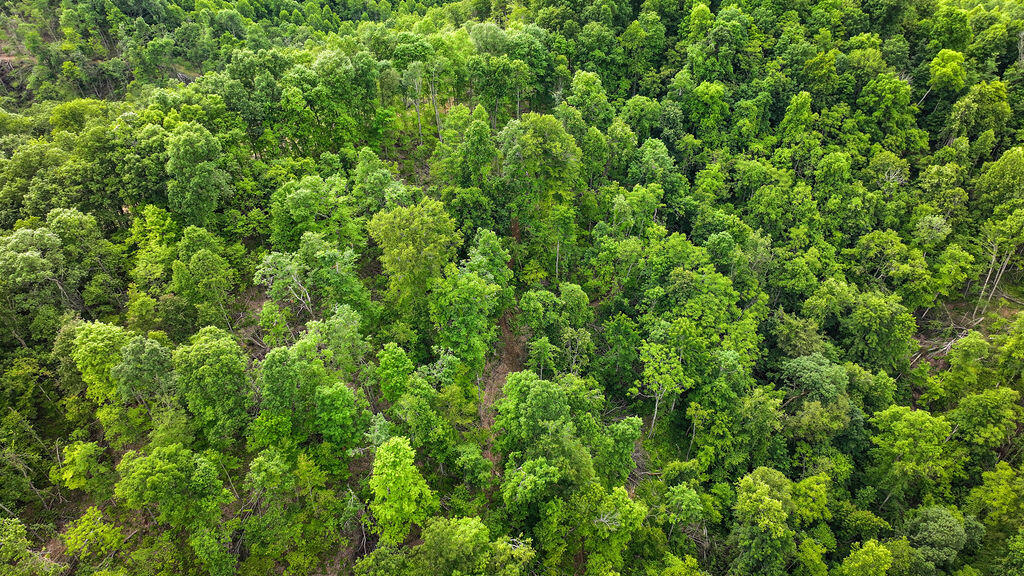 Booneville, Kentucky 41314, United States, ,Residential,Active,143445