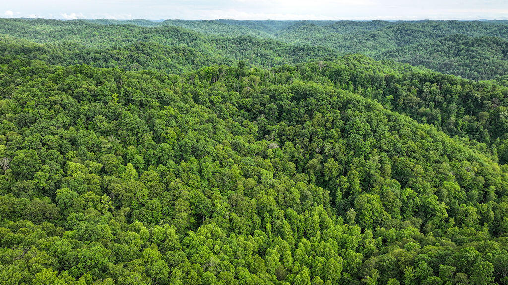 Booneville, Kentucky 41314, United States, ,Residential,Active,143445