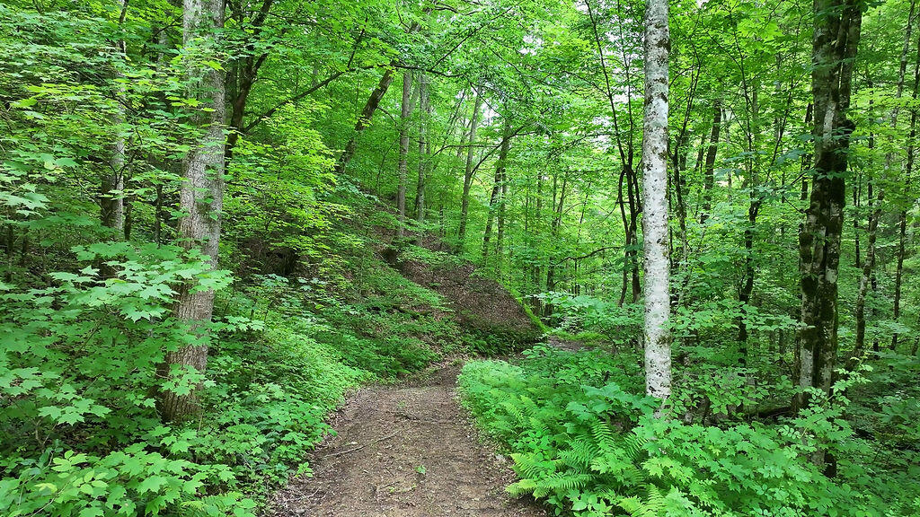 Booneville, Kentucky 41314, United States, ,Residential,Active,143445