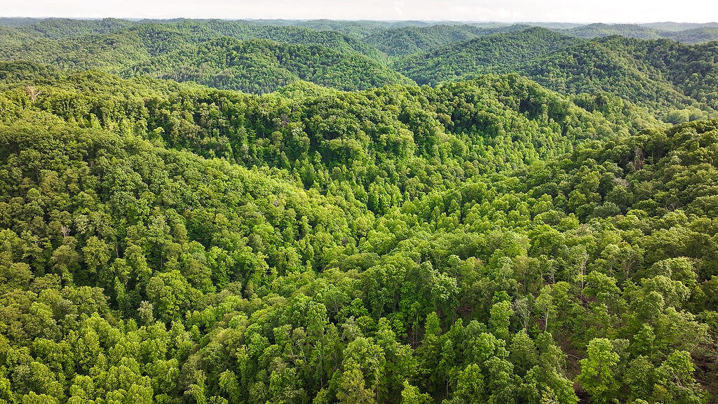 Booneville, Kentucky 41314, United States, ,Residential,Active,143445