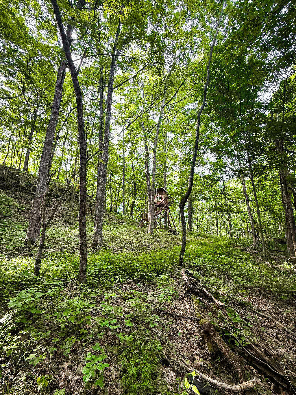 Booneville, Kentucky 41314, United States, ,Residential,Active,143445