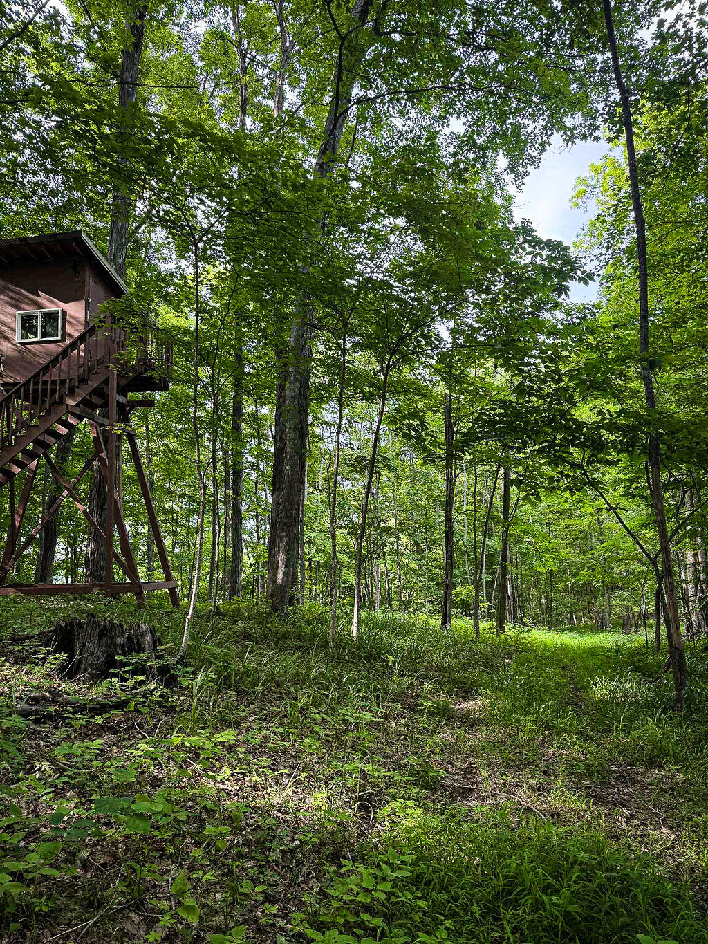 Booneville, Kentucky 41314, United States, ,Residential,Active,143445