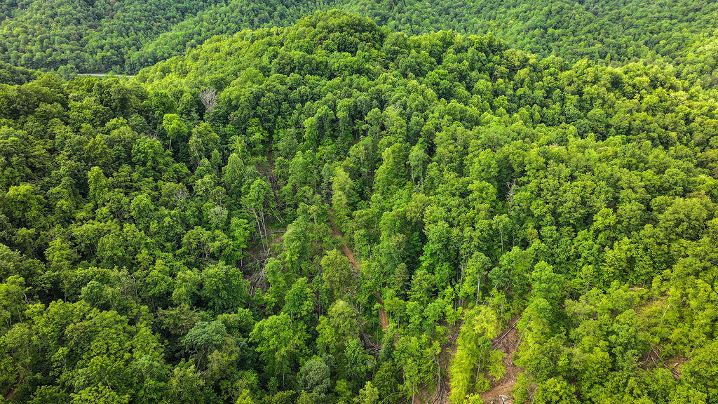 Booneville, Kentucky 41314, United States, ,Residential,Active,143445