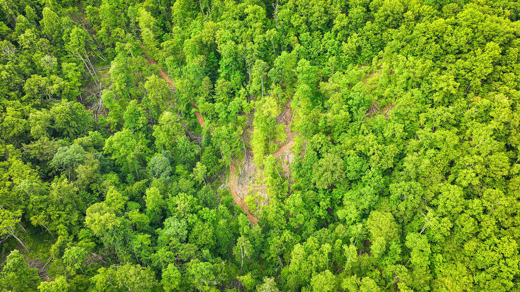 Booneville, Kentucky 41314, United States, ,Residential,Active,143445