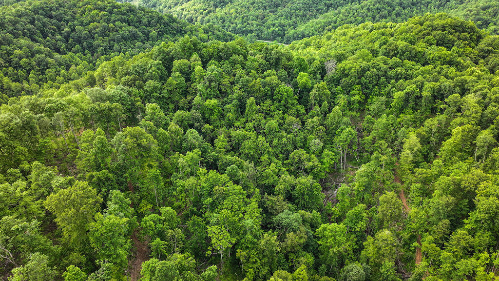 Booneville, Kentucky 41314, United States, ,Residential,Active,143445