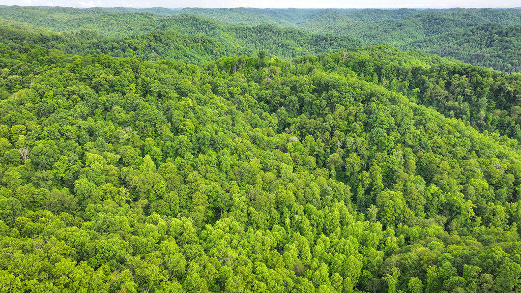 Booneville, Kentucky 41314, United States, ,Residential,Active,143445