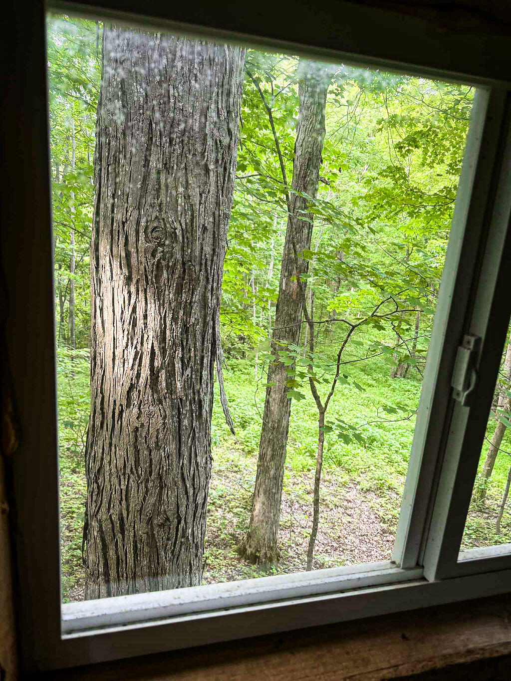 Booneville, Kentucky 41314, United States, ,Residential,Active,143445