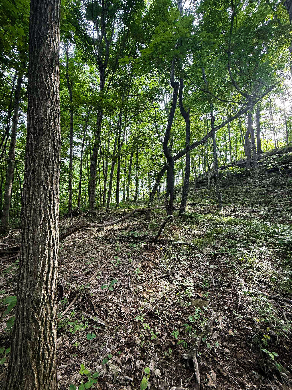 Booneville, Kentucky 41314, United States, ,Residential,Active,143445