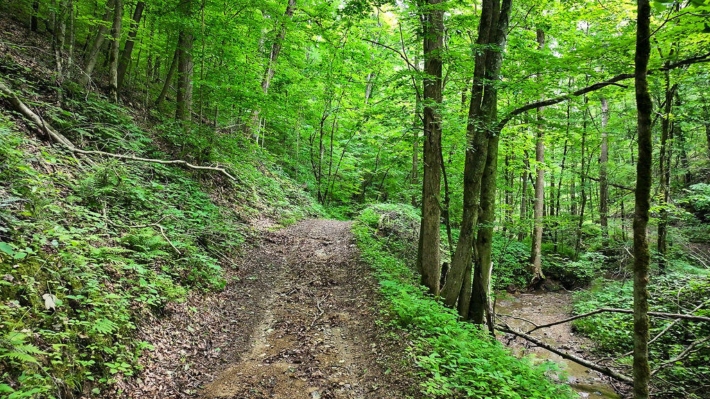 Booneville, Kentucky 41314, United States, ,Residential,Active,143445