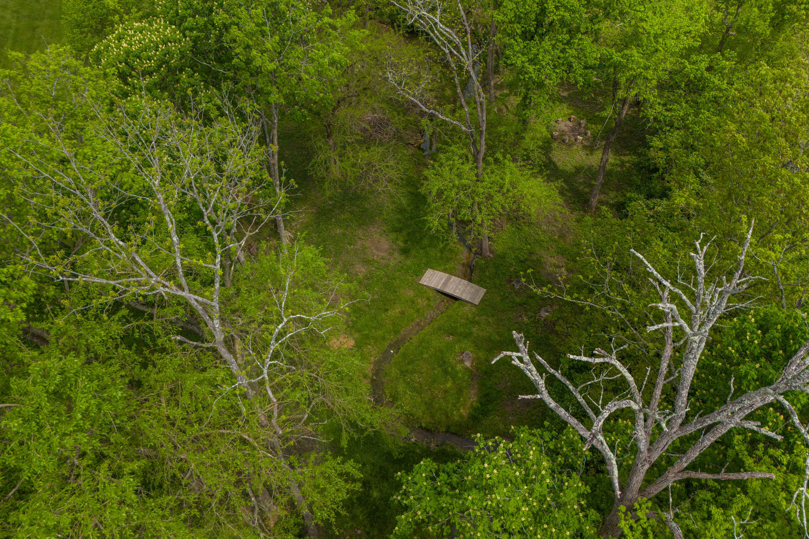 Richmond, Kentucky 40475, United States, 4 Bedrooms Bedrooms, ,3 BathroomsBathrooms,Residential,Pending,122624