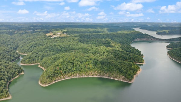 1412 GEORGE GARNER RD, MONTICELLO, KY 42633 - Image f7b4462001e1a06324ddc4afc3c00a10/4085119304