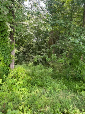 111 TERRELL RD, CORBIN, KY 40701 - Image f7ca7d0e484ffbc4bd13e9b7e3988b0c/3016363574