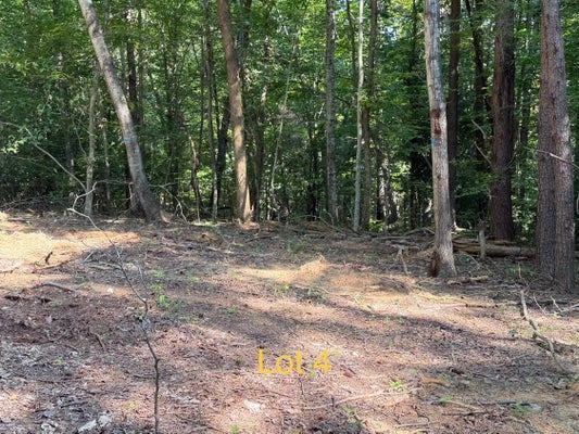 5664 STATE HWY 1546, MONTICELLO, KY 42633 - Image f95d415e5b847d7b4c5e4e287ba14580/2402111082