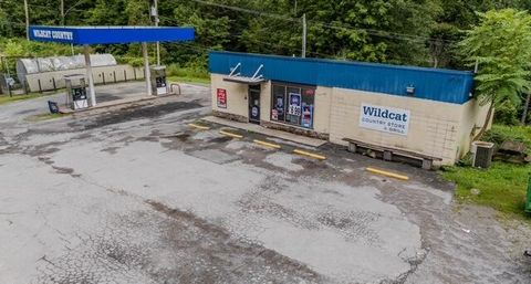 Property photo of 8249 Us Highway 119, Calvin, KY 40813