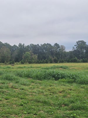 0000 HWY 704, BURKESVILLE, KY 42717 - Image fc7cbde2d68899ae47462dfcb6d9b29e/3275467807
