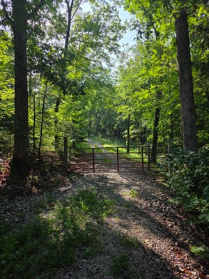 2453 KY-1258, MONTICELLO, KY 42633 - Image fcecc7a6a4debaf842a4b6bed51fa607/2970139720