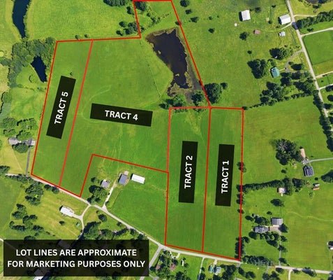 1204 NEVINS STATION RD, LAWRENCEBURG, KY 40342 - Image feff4ea66b4401deefcf76aadacd25a2/1871919496