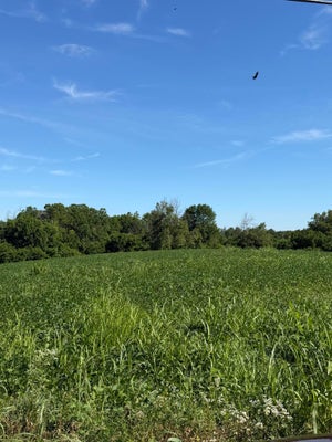 7825 MOUNT CARMEL RD, FLEMINGSBURG, KY 41041 - Image ff65d0a2ba5aa89d7520c7bc6d72ec37/1939757943