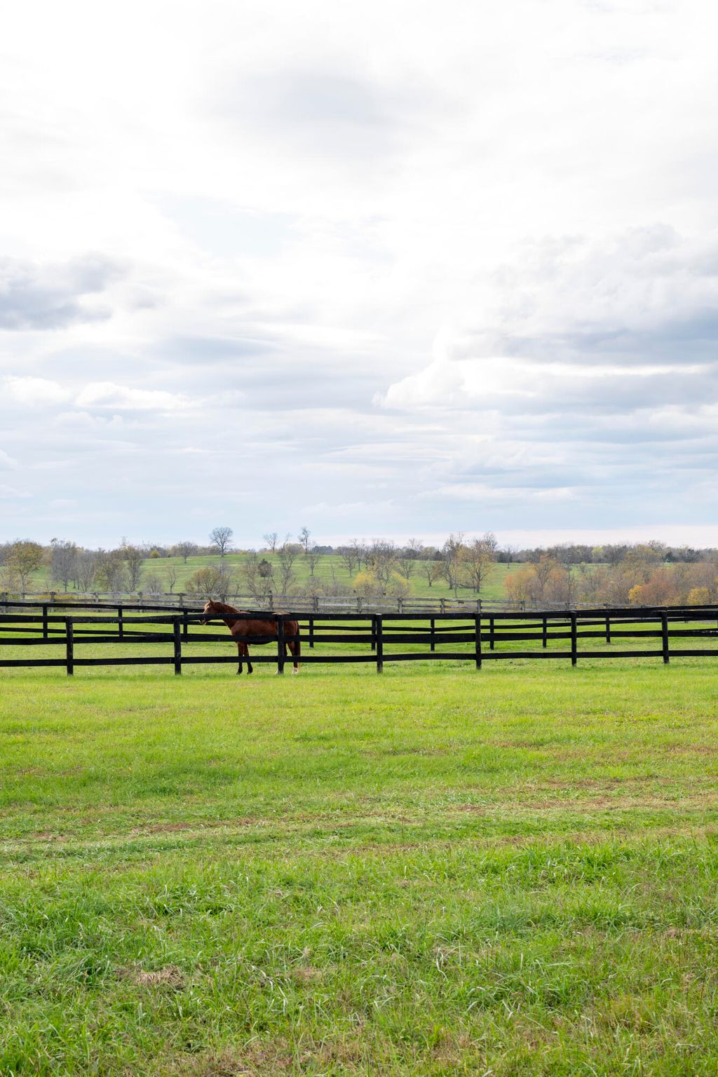 Photo of 9412 Harrodsburg Road, Wilmore, KY 40390 (MLS # 25505213)