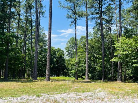 Vacant Land For Sale - 8 Marina Point Ln<br/> Grayson County, Falls Of Rough, KY 40119