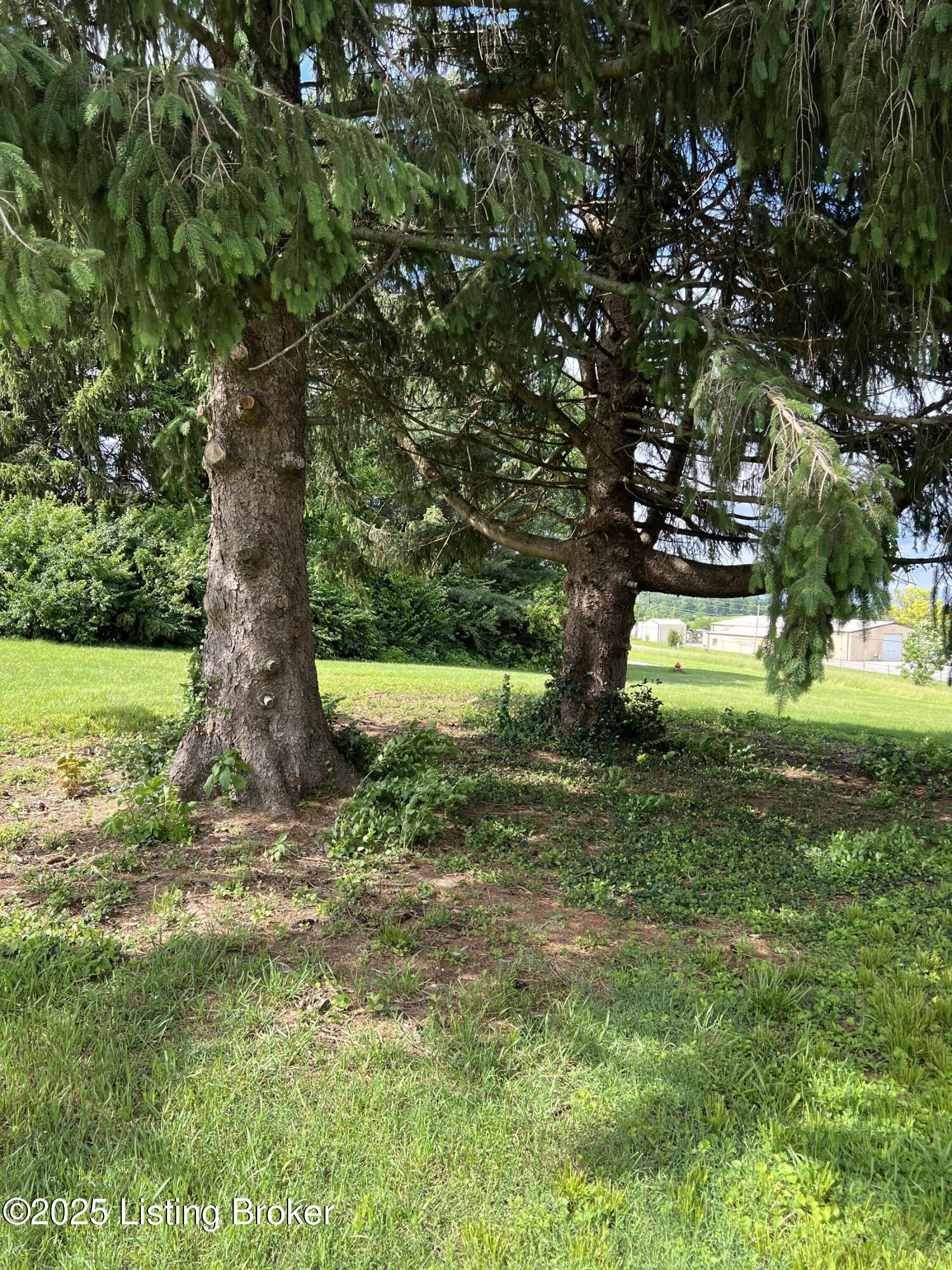 2040 Cox Ln, La Grange, Pennsylvania image 4
