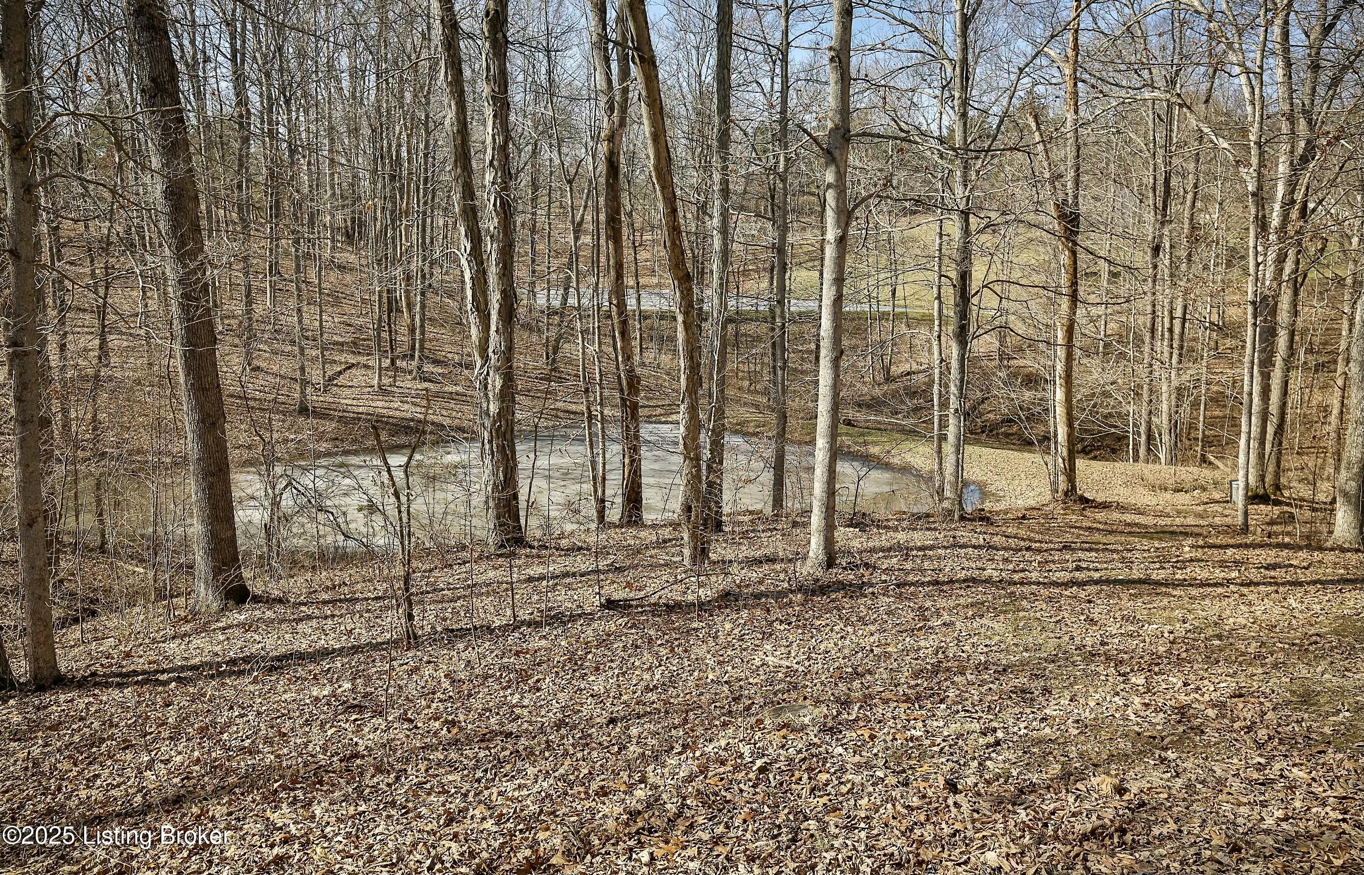 1380 Herndon Rd, Lawrenceburg, Kentucky image 49